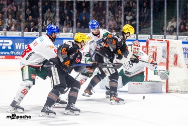 Löwen Frankfurt - Augsburger Panther -23.2.24 - 103