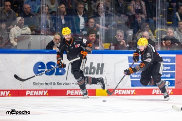 Löwen Frankfurt - Augsburger Panther -23.2.24 - 116