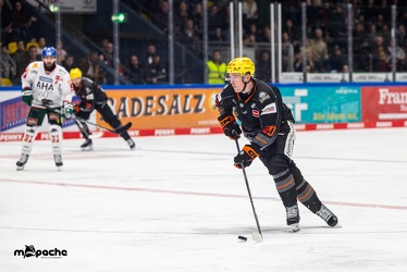 Löwen Frankfurt - Augsburger Panther -23.2.24 - 118