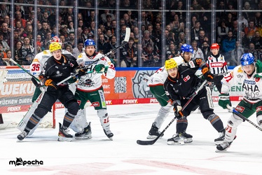 Löwen Frankfurt - Augsburger Panther -23.2.24 - 120