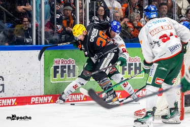 Löwen Frankfurt - Augsburger Panther -23.2.24 - 122