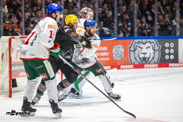 Löwen Frankfurt - Augsburger Panther -23.2.24 - 132