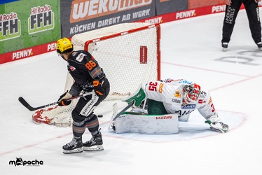 Löwen Frankfurt - Augsburger Panther -23.2.24 - 143