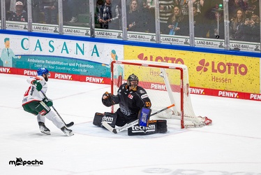 Löwen Frankfurt - Augsburger Panther -23.2.24 - 147