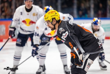 Löwen Frankfurt - Redbull München -27.2.24 - 114