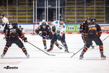 U20 Löwen Frankfurt e.V. - EHC Erfurt - 3.3.24 - 030