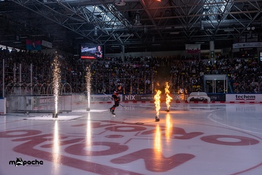 Löwen Frankfurt - Schwenninger Wild Wings - 20.10.24 - 025