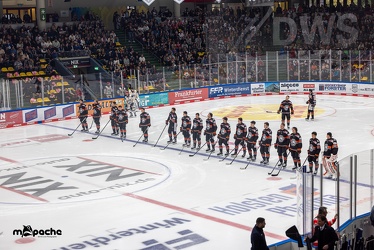 Löwen Frankfurt - Schwenninger Wild Wings - 20.10.24 - 029