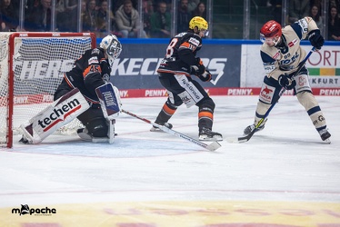Löwen Frankfurt - Schwenninger Wild Wings - 20.10.24 - 033