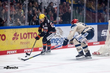 Löwen Frankfurt - Schwenninger Wild Wings - 20.10.24 - 034