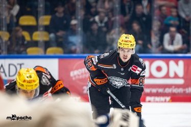 Löwen Frankfurt - Schwenninger Wild Wings - 20.10.24 - 036