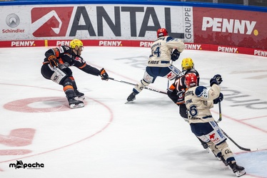 Löwen Frankfurt - Schwenninger Wild Wings - 20.10.24 - 039
