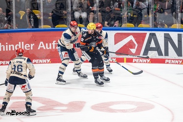 Löwen Frankfurt - Schwenninger Wild Wings - 20.10.24 - 040