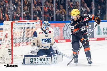 Löwen Frankfurt - Schwenninger Wild Wings - 20.10.24 - 046