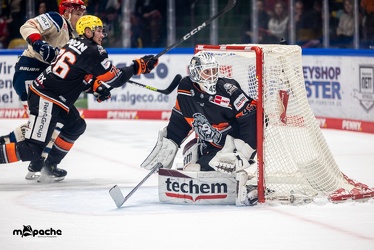 Löwen Frankfurt - Schwenninger Wild Wings - 20.10.24 - 055