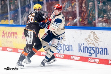 Löwen Frankfurt - Schwenninger Wild Wings - 20.10.24 - 056