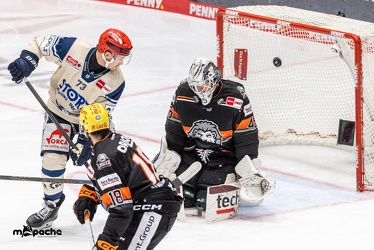 Löwen Frankfurt - Schwenninger Wild Wings - 20.10.24 - 067