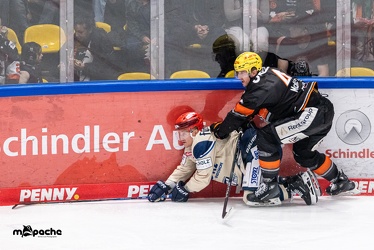 Löwen Frankfurt - Schwenninger Wild Wings - 20.10.24 - 068