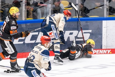 Löwen Frankfurt - Schwenninger Wild Wings - 20.10.24 - 072