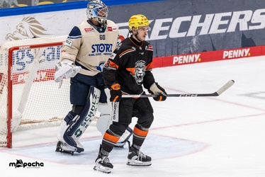 Löwen Frankfurt - Schwenninger Wild Wings - 20.10.24 - 073