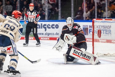 Löwen Frankfurt - Schwenninger Wild Wings - 20.10.24 - 108