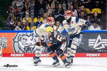 Löwen Frankfurt - Schwenninger Wild Wings - 20.10.24 - 129