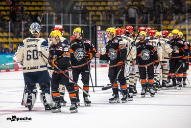 Löwen Frankfurt - Schwenninger Wild Wings - 20.10.24 - 145