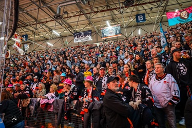 Löwen Frankfurt - EHC Red Bull München - 3.12.24 - 027