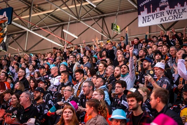 Löwen Frankfurt - EHC Red Bull München - 3.12.24 - 031