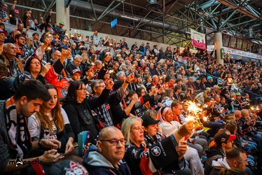 Löwen Frankfurt - EHC Red Bull München - 3.12.24 - 033