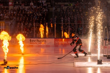 Löwen Frankfurt - EHC Red Bull München - 3.12.24 - 043