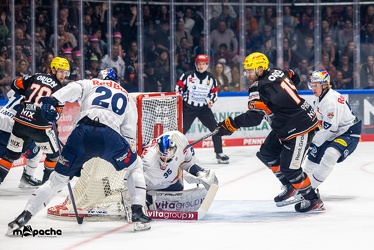 Löwen Frankfurt - EHC Red Bull München - 3.12.24 - 064