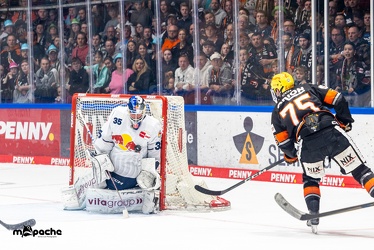 Löwen Frankfurt - EHC Red Bull München - 3.12.24 - 065