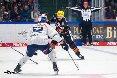 Löwen Frankfurt - EHC Red Bull München - 3.12.24 - 069