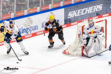Löwen Frankfurt - EHC Red Bull München - 3.12.24 - 077