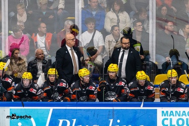 Löwen Frankfurt - EHC Red Bull München - 3.12.24 - 081