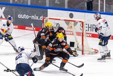 Löwen Frankfurt - EHC Red Bull München - 3.12.24 - 084