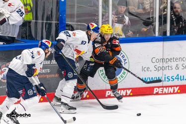 Löwen Frankfurt - EHC Red Bull München - 3.12.24 - 086