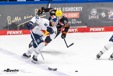 Löwen Frankfurt - EHC Red Bull München - 3.12.24 - 089