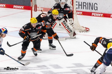 Löwen Frankfurt - EHC Red Bull München - 3.12.24 - 091