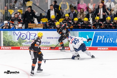 Löwen Frankfurt - EHC Red Bull München - 3.12.24 - 098