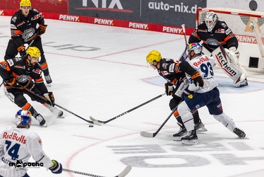 Löwen Frankfurt - EHC Red Bull München - 3.12.24 - 102