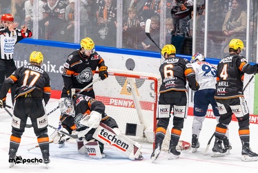 Löwen Frankfurt - EHC Red Bull München - 3.12.24 - 103