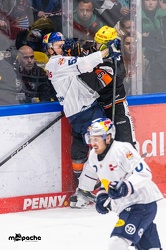 Löwen Frankfurt - EHC Red Bull München - 3.12.24 - 106