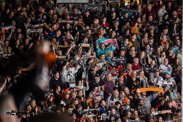 Löwen Frankfurt - EHC Red Bull München - 3.12.24 - 117