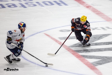 Löwen Frankfurt - EHC Red Bull München - 3.12.24 - 121