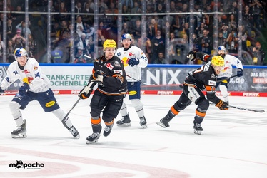 Löwen Frankfurt - EHC Red Bull München - 3.12.24 - 131