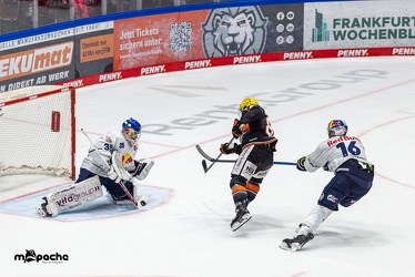 Löwen Frankfurt - EHC Red Bull München - 3.12.24 - 135