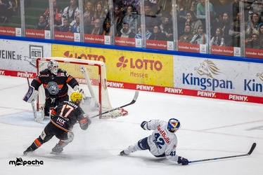 Löwen Frankfurt - EHC Red Bull München - 3.12.24 - 136