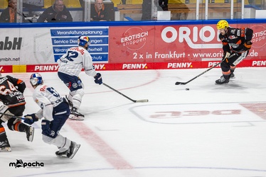 Löwen Frankfurt - EHC Red Bull München - 3.12.24 - 138